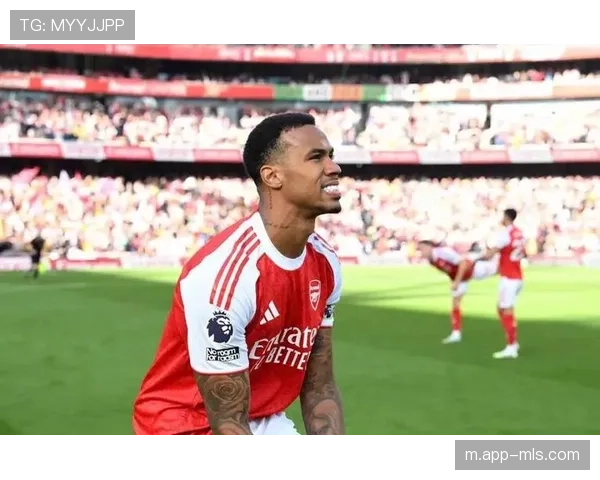 阿森纳中卫加布里埃尔长期伤缺，影响球队防守稳定性