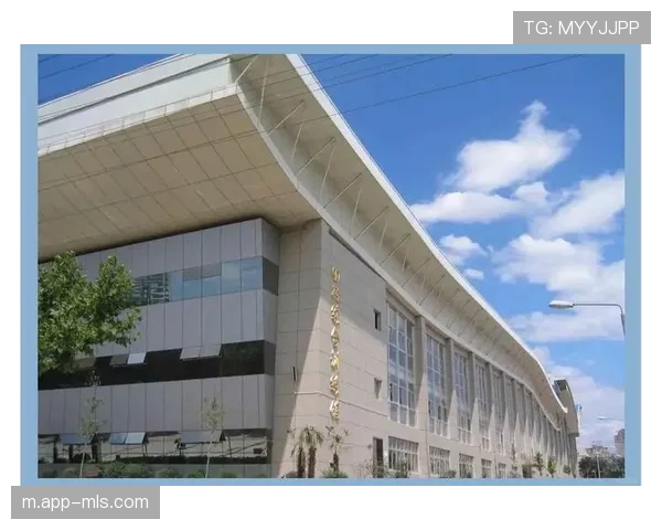 多地体育中心升级手球设施，应对日益增长的训练需求